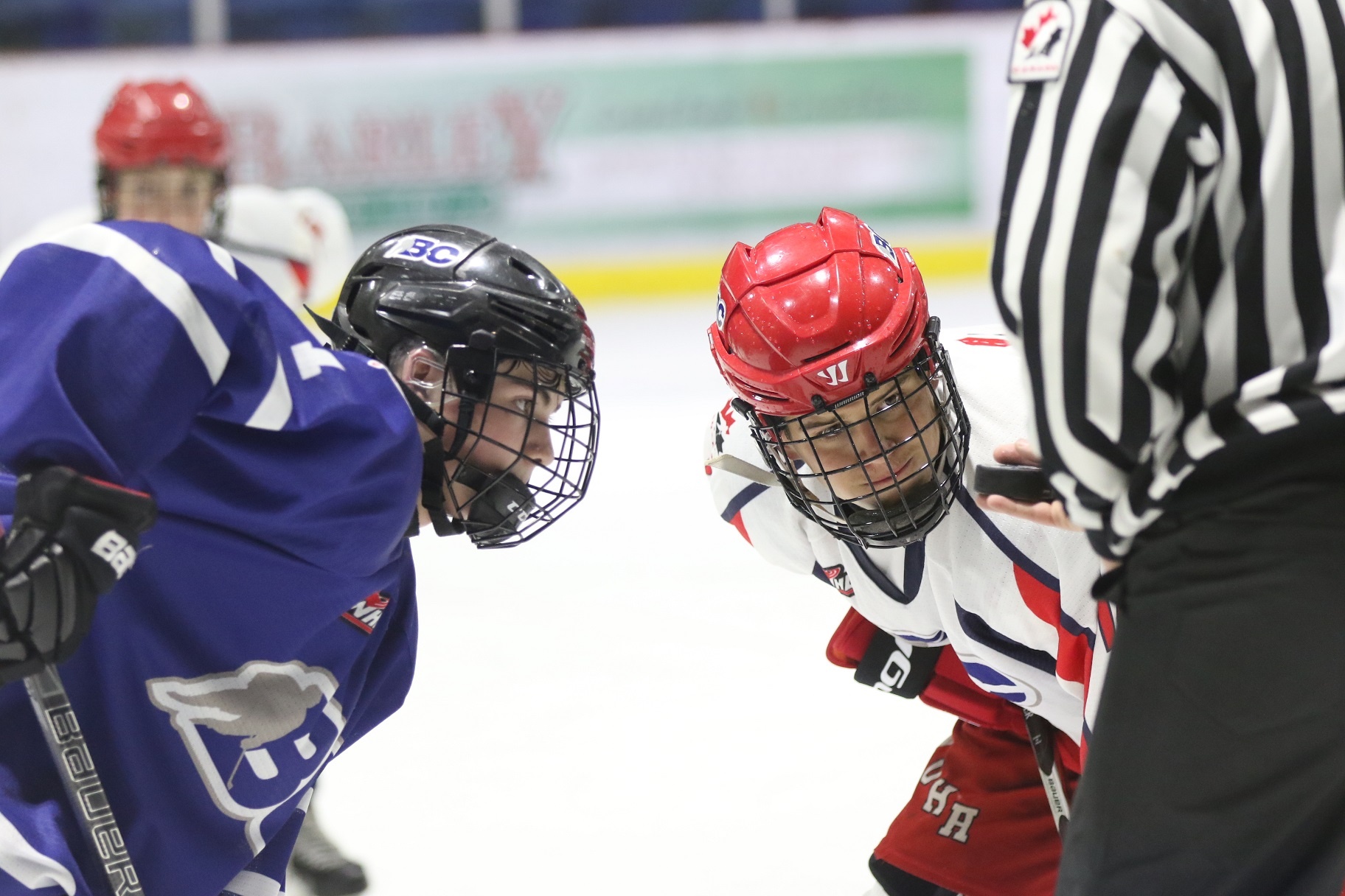 BC Hockey Partners with HeadCheck Health to Improve Concussion Care for
